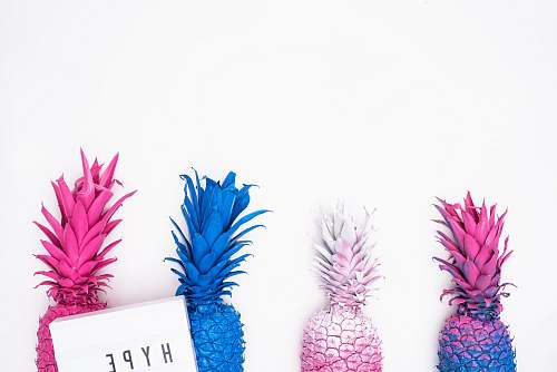 pineapple four assorted-color pineapple illustration blue